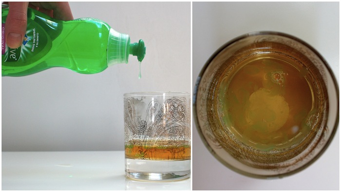Are you as fed up with fruit flies as I am? Enlist these tips ASAP! 