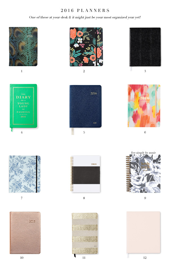 super chic 2016 planners. As in: planning to be more organized this new year. 
