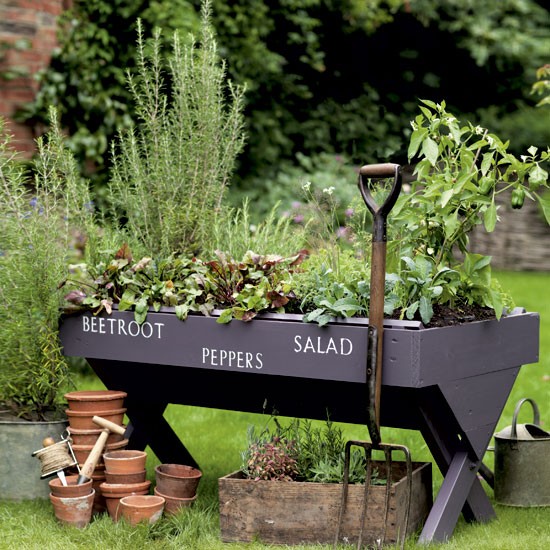 Raised bed with striking labels.