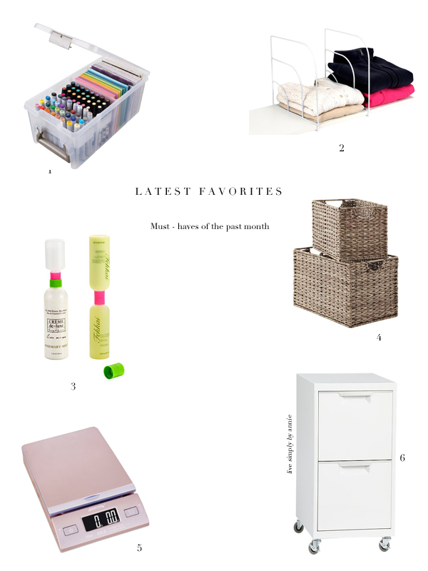 The products a professional organizer swears by to keep herself and her clients organized. 