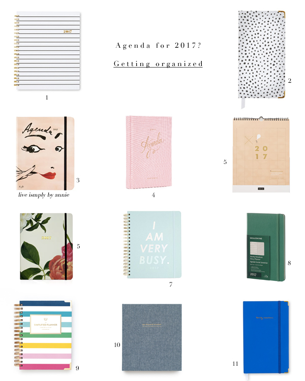 getting organized for the new year starts here! Stylish planners for 2017!