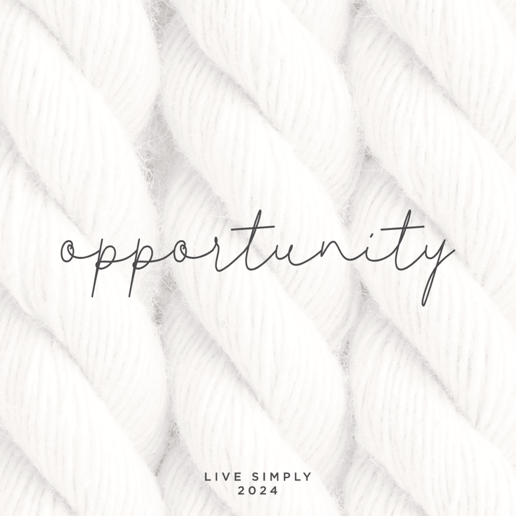 Live Simply Method Monthly Mantra: Opportunity